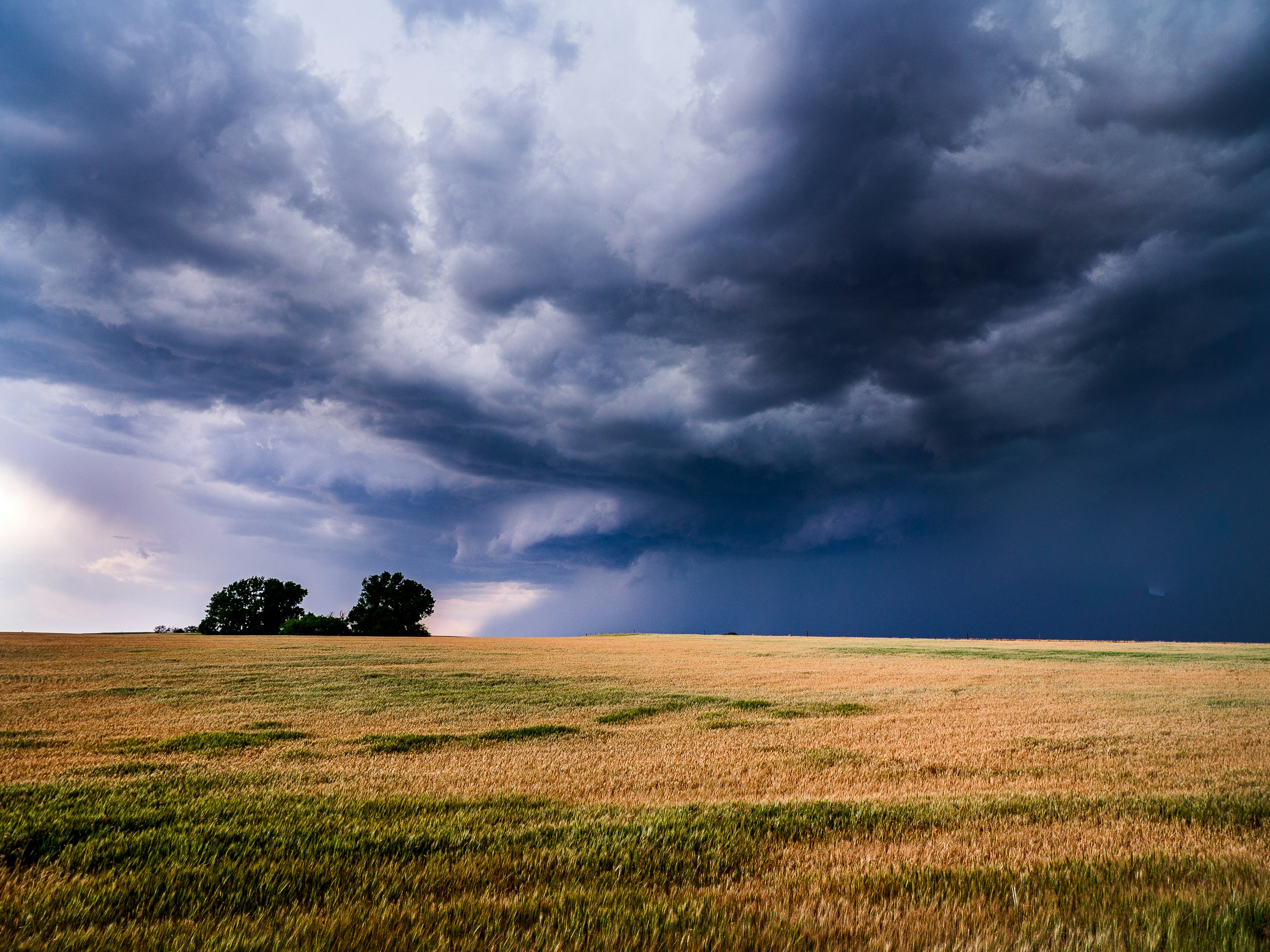 A storm front moving over a wheat field on the Great Plains